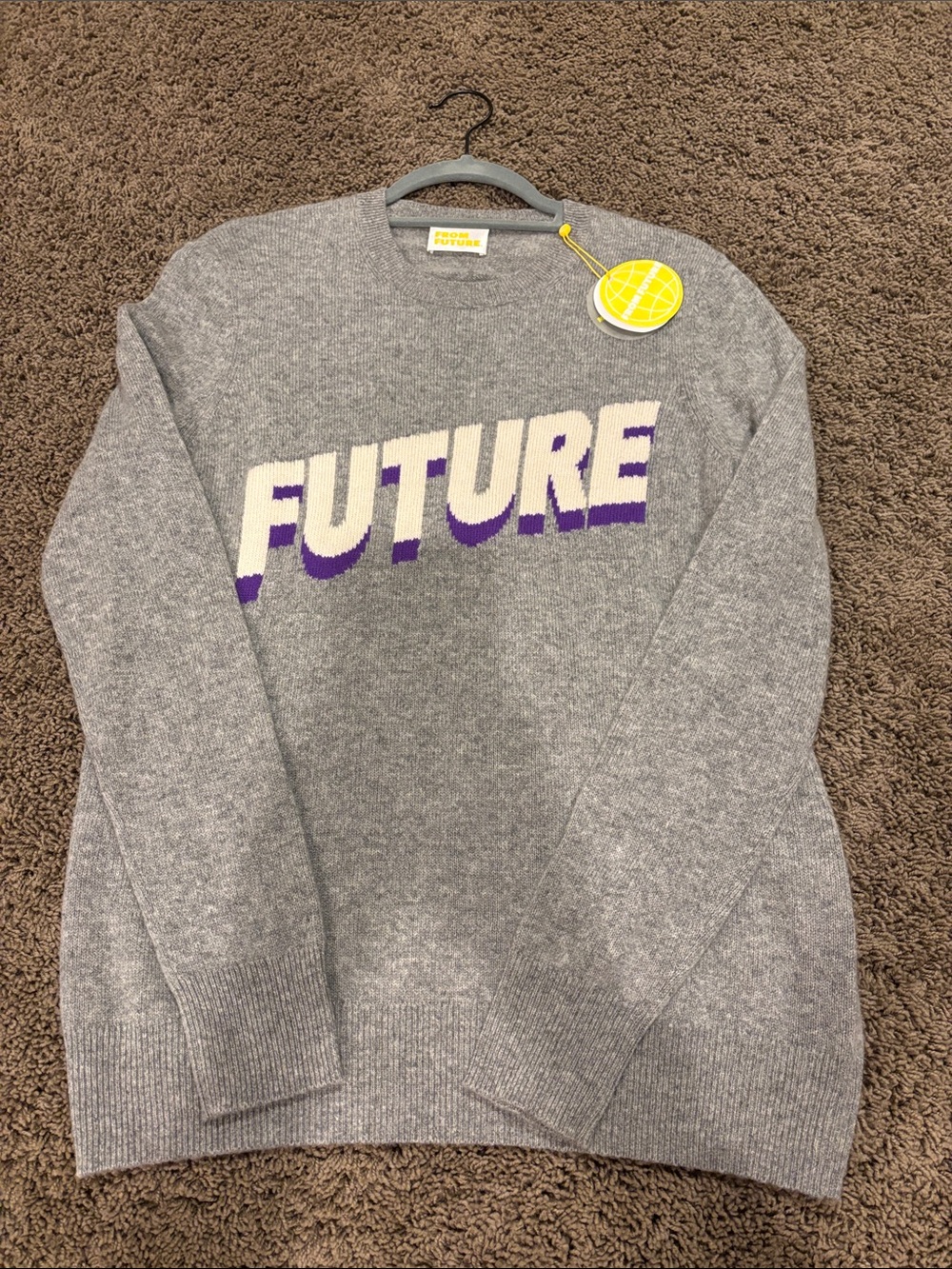 Future Graphic Crewneck Sweater - Gray